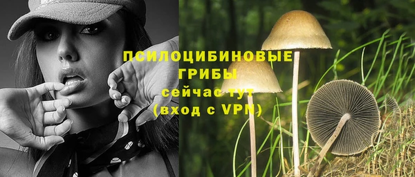 крисы Балабаново